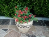 Nature Meillandecor Nature Meillandecor