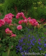 Rosarium Uetersen Rosarium Uetersen