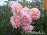 Abraham Darby Abraham Darby