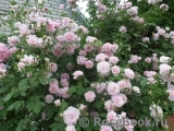 Domaine de Courson ® Domaine de Courson ®