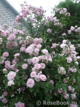 Domaine de Courson ® Domaine de Courson ®