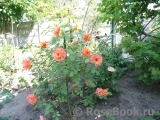 Westerland Westerland