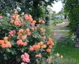 Westerland Westerland