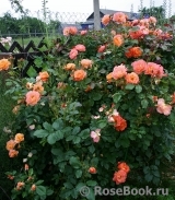 Westerland Westerland