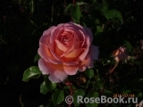 Abraham Darby Abraham Darby