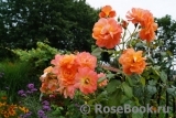 Westerland Westerland