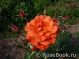 Westerland Westerland