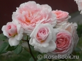 Abraham Darby Abraham Darby