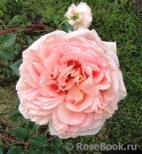 Abraham Darby Abraham Darby