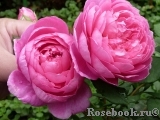 Alan Titchmarsh Alan Titchmarsh