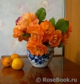 COMPOSITION COMPOSITION
