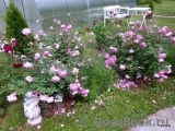 Alan Titchmarsh Alan Titchmarsh