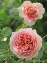 Abraham Darby Abraham Darby