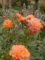 Westerland Westerland
