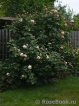 A Shropshire Lad A Shropshire Lad