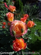 Gartenspass ® Gartenspass ®
