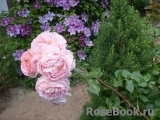 Abraham Darby Abraham Darby