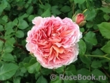 Abraham Darby Abraham Darby