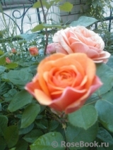 Abraham Darby Abraham Darby