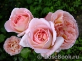 Abraham Darby Abraham Darby