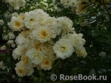 Ghislaine de Feligonde Ghislaine de Feligonde