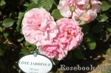 Cote Jardins Cote Jardins