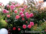 Boscobel Boscobel