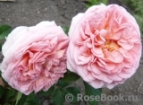 Abraham Darby Abraham Darby