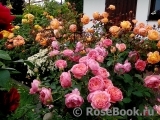 Boscobel Boscobel