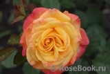 Gartenspass ® Gartenspass ®