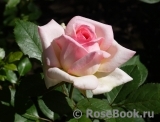 George Sand George Sand