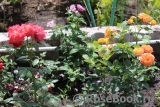 Gartenspass ® Gartenspass ®