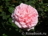 George Sand George Sand