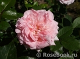 George Sand George Sand