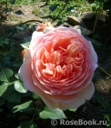 Abraham Darby Abraham Darby