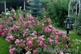 Palmengarten Frankfurt Palmengarten Frankfurt