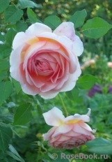 Abraham Darby Abraham Darby