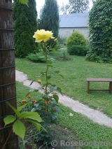 Dukat® Dukat®