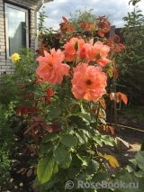 Westerland Westerland