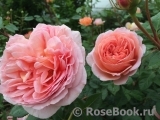 Abraham Darby Abraham Darby