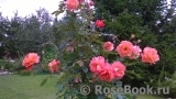Westerland Westerland