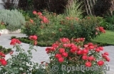 Planten un Blomen® Planten un Blomen®