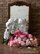 COMPOSITION COMPOSITION