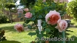 Abraham Darby Abraham Darby