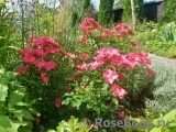 Stadt Rom Stadt Rom