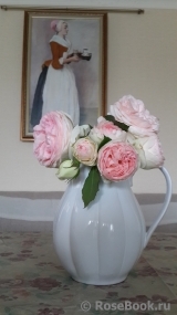 COMPOSITION