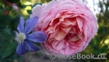 Abraham Darby Abraham Darby