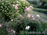 Abraham Darby Abraham Darby