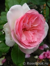 George Sand George Sand