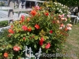 Westerland Westerland